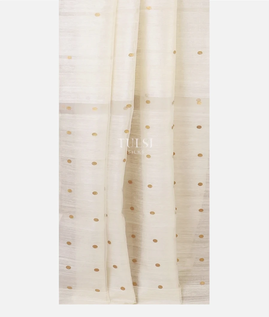 off-white-handwoven-tussar-saree-t597318-t597318-b