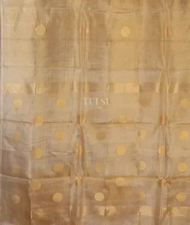 gold-tissue-kota-saree-t595913-t595913-d