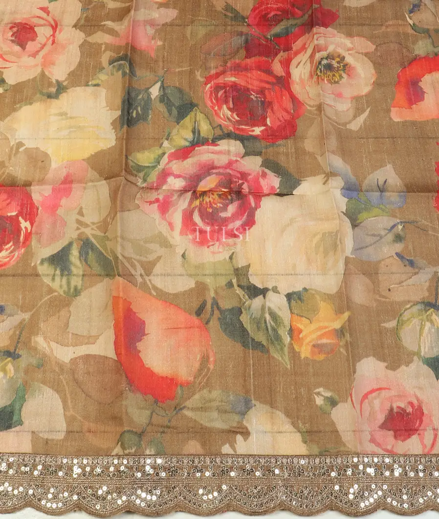 brown-kora-organza-embroidery-saree-t599658-t599658-c