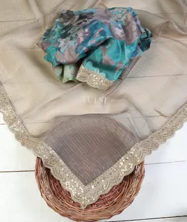 grey-kora-organza-embroidery-saree-t599655-t599655-b