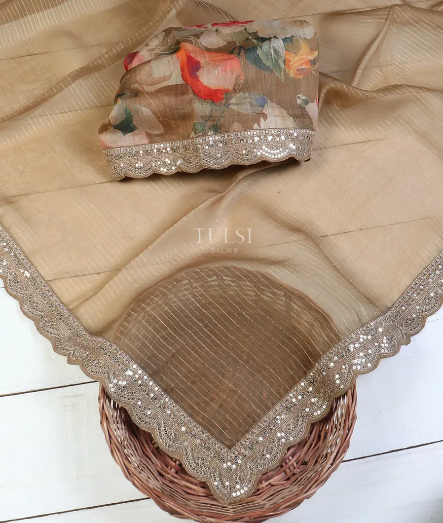 light-brown-kora-organza-embroidery-saree-t599658-t599658-b