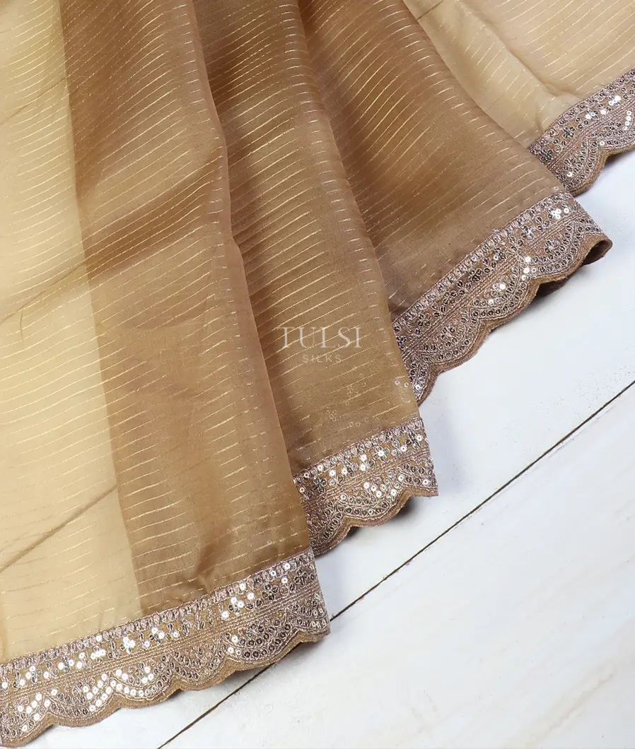 light-brown-kora-organza-embroidery-saree-t599658-t599658-d