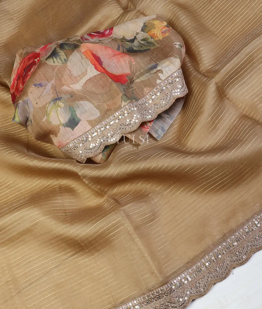 light-brown-kora-organza-embroidery-saree-t599658-t599658-e