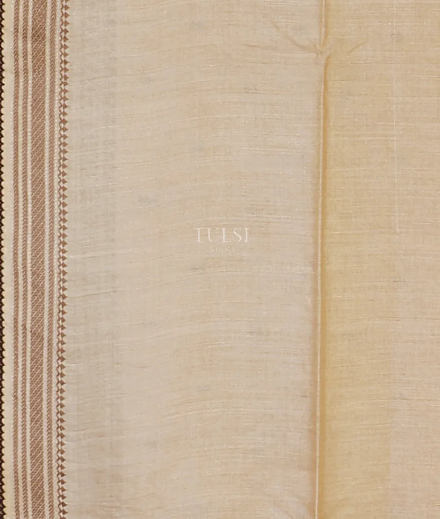 beige-tussar-embroidery-saree-t607089-t607089-c