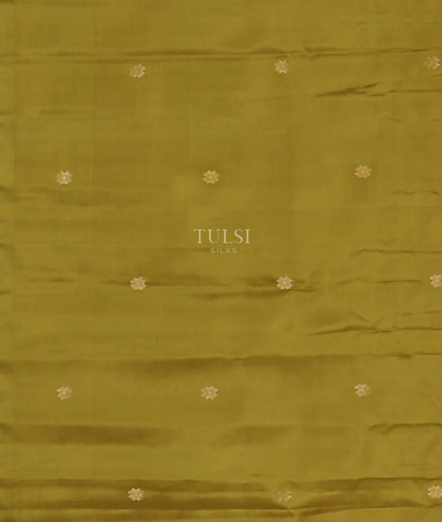 multicolour-gadwal-silk-saree-t577334-t577334-c