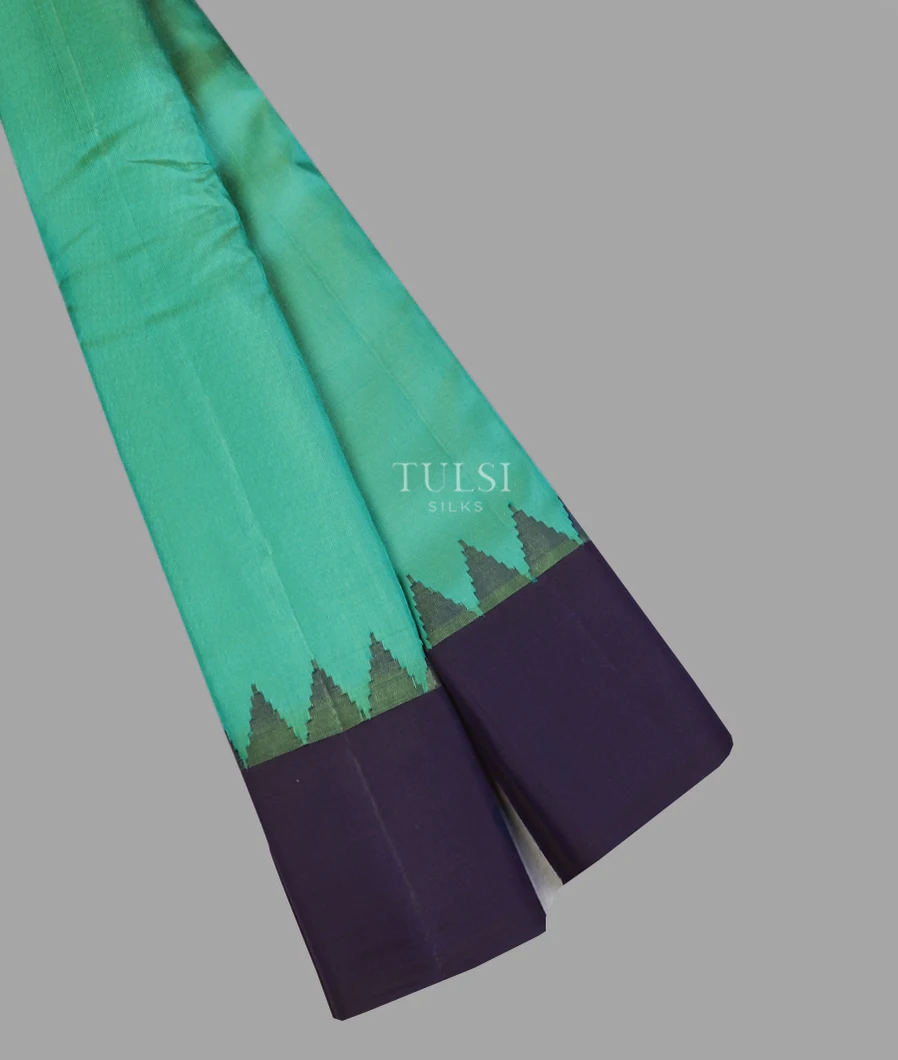 Greenish Blue Gadwal Silk Saree T577289-1-image