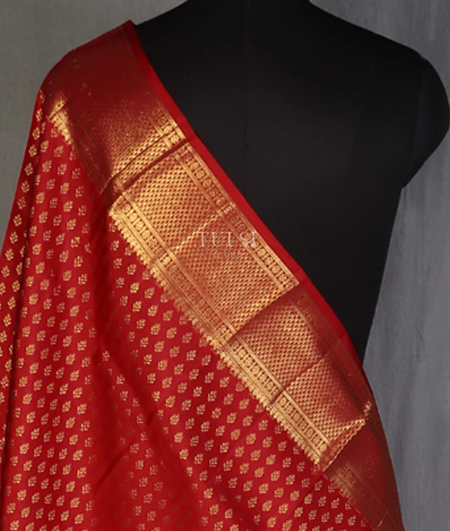 Red Kanjivaram Silk Dupatta T563601-image