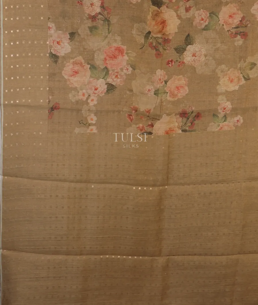 greenish-beige-tissue-tussar-printed-saree-t541904-t541904-d