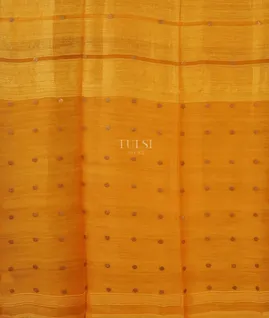 yellow-handwoven-tussar-saree-t608794-t608794-d