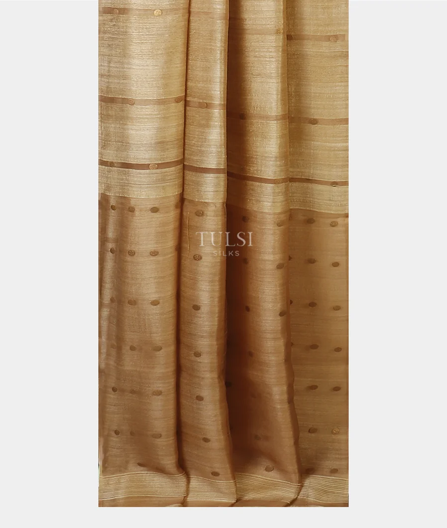 beige-handwoven-tussar-saree-t608788-t608788-b