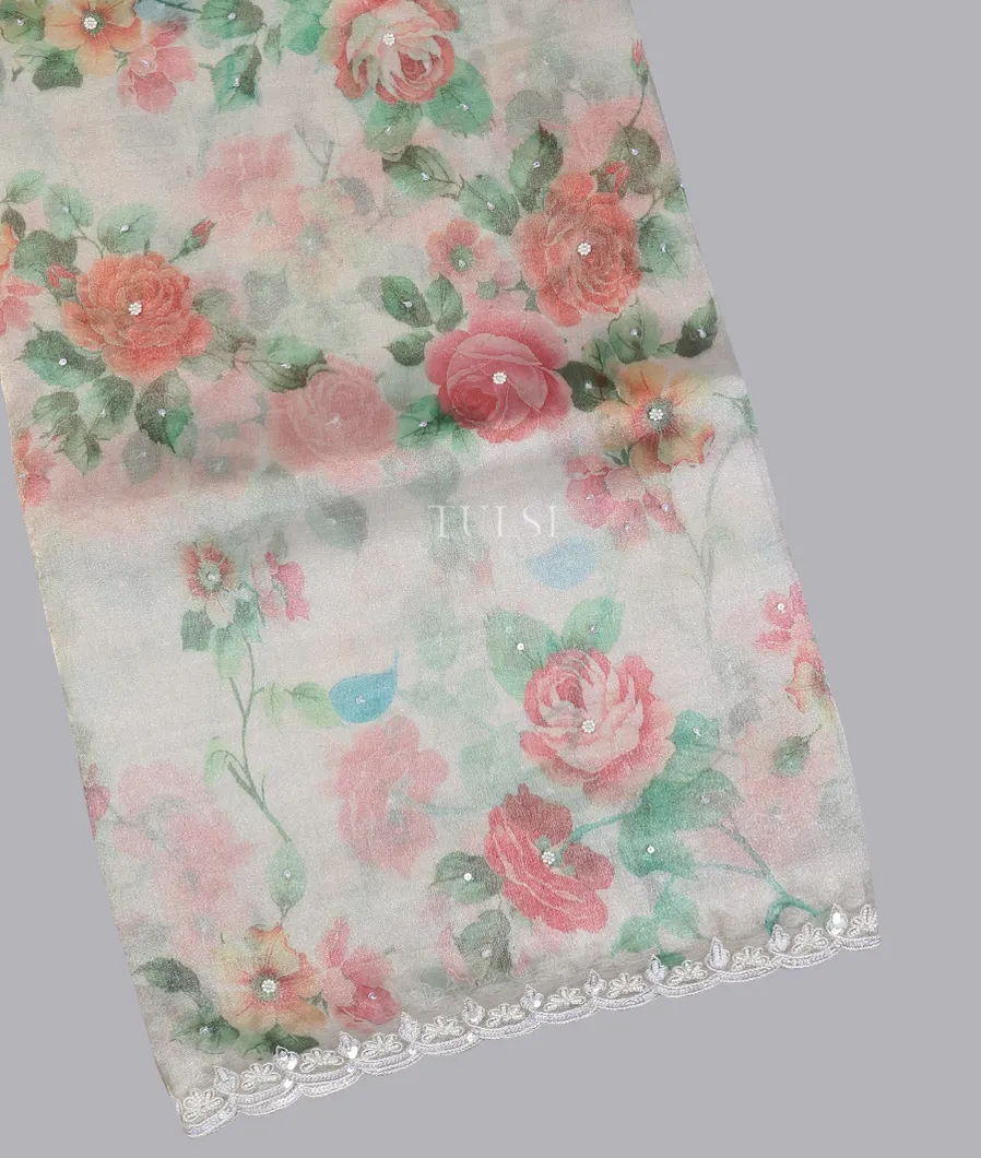 Silver Kora Tissue Organza Embroidery Saree T607801-image