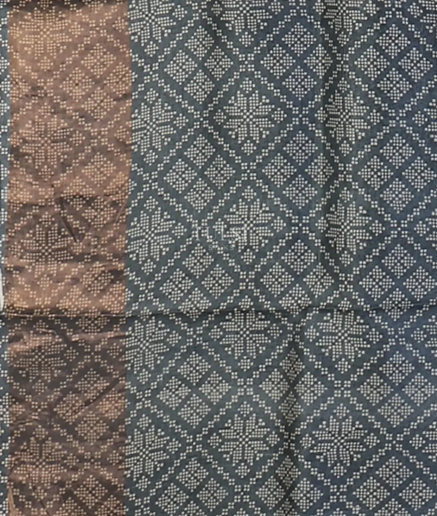 beige-tussar-printed-saree-t609907-t609907-c