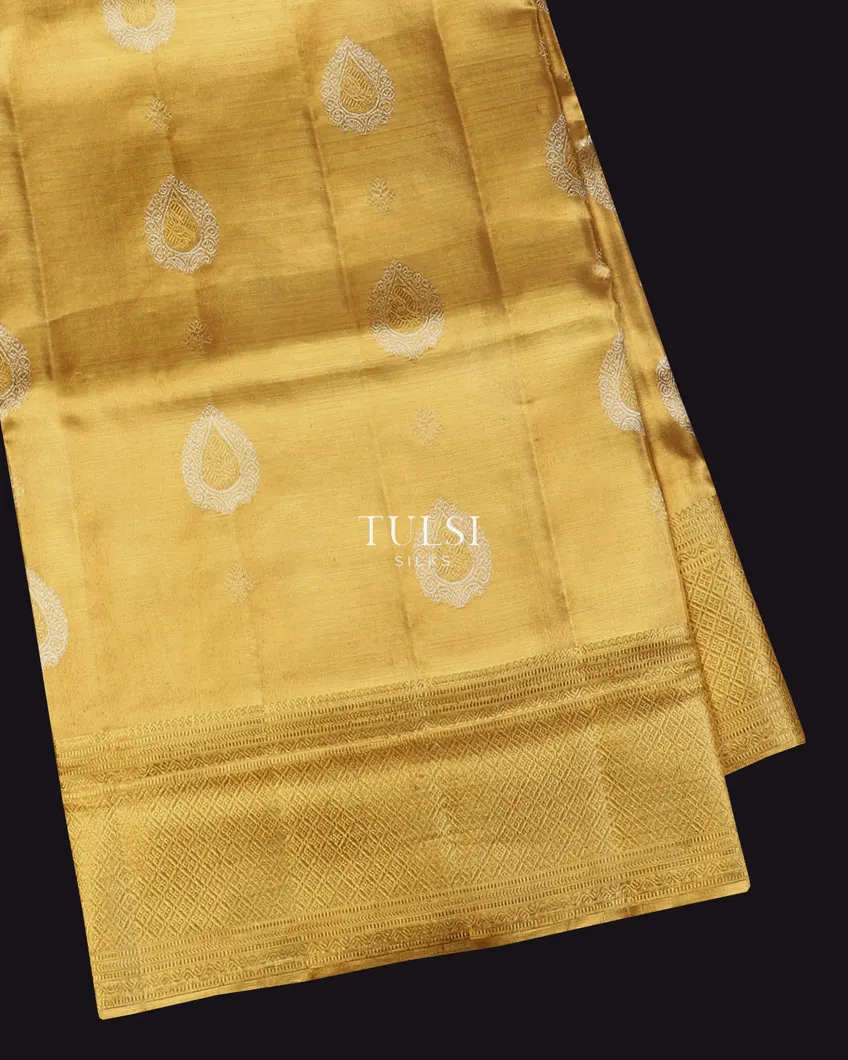 Gold Tissue Kanjivaram Silk Saree T611552-image