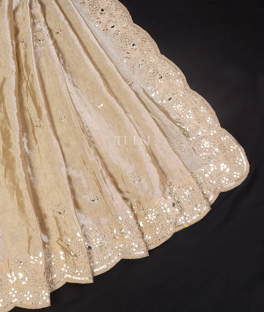 beige-kora-tissue-organza-embroidery-saree-t569343-t569343-b