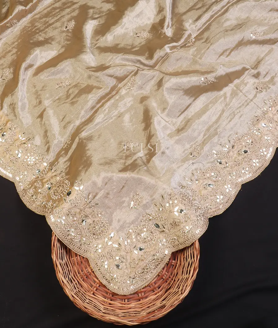 beige-kora-tissue-organza-embroidery-saree-t569343-t569343-d