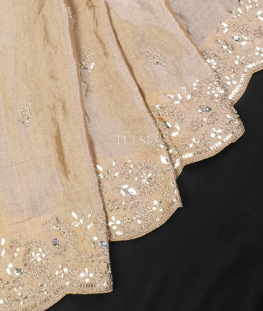 beige-kora-tissue-organza-embroidery-saree-t569343-t569343-e