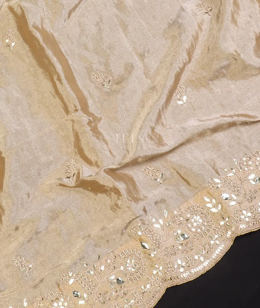 beige-kora-tissue-organza-embroidery-saree-t569343-t569343-f