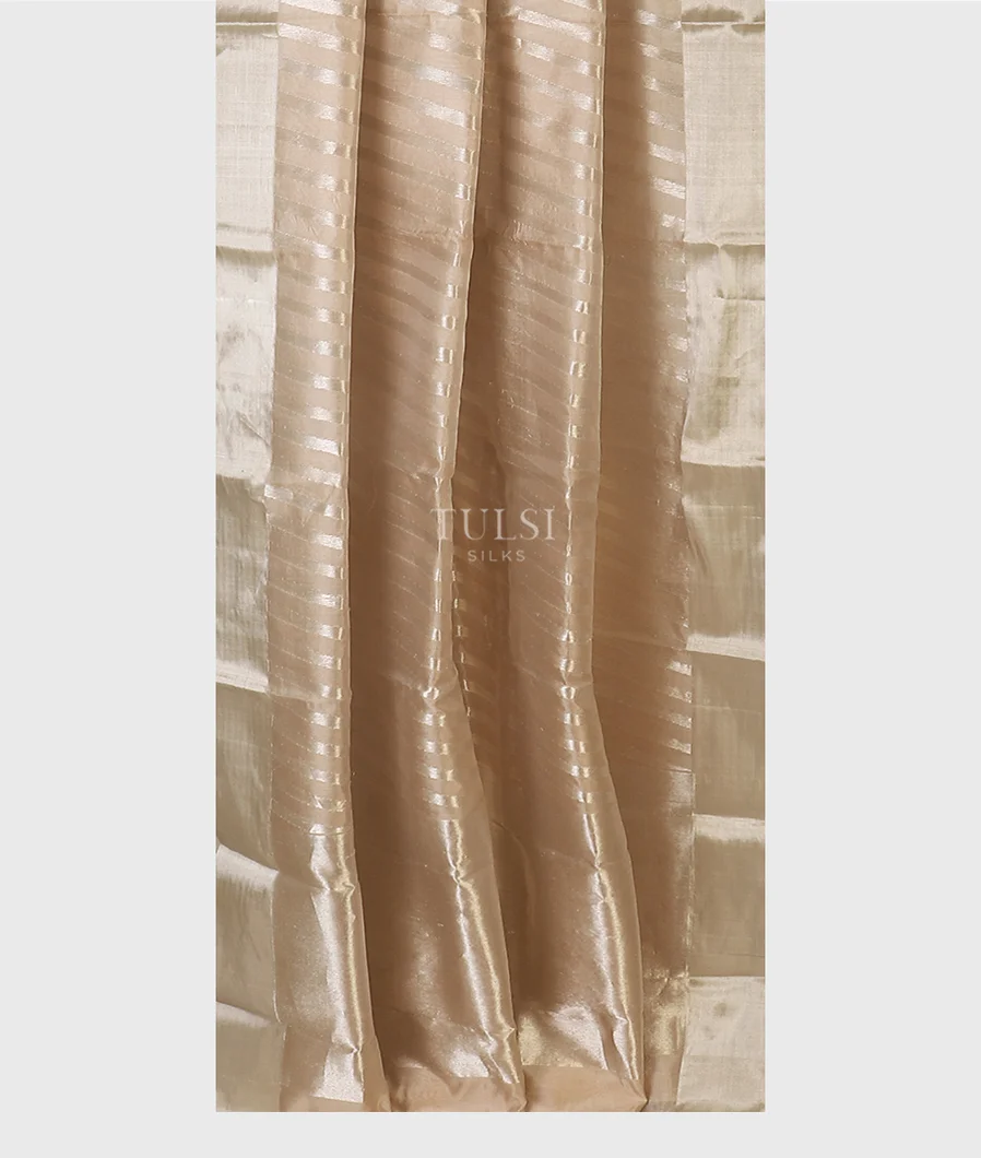 beige-chanderi-silk-saree-t599607-t599607-b