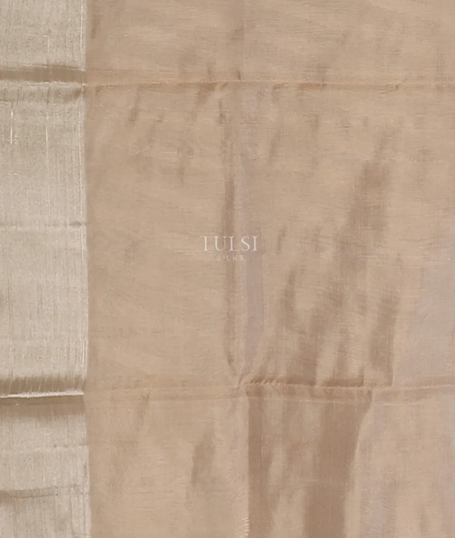 beige-chanderi-silk-saree-t599607-t599607-c