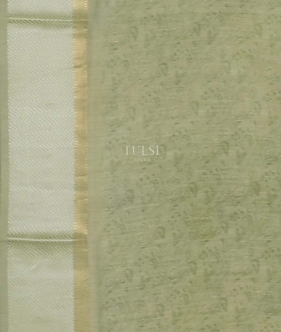 light-green-kora-organza-printed-saree-t521967-t521967-c