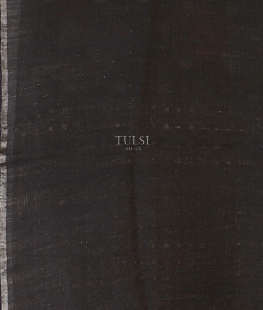 black-tissue-organza-printed-saree-t614990-t614990-c