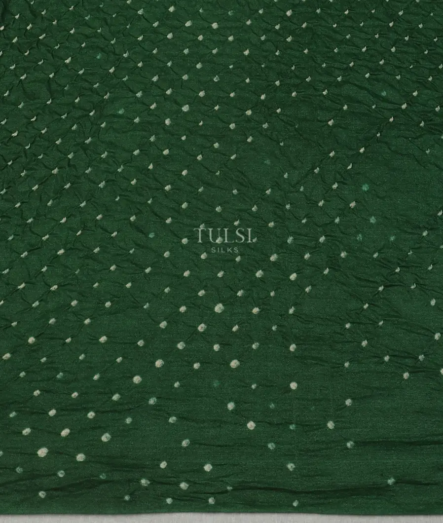 beige-bandhani-tussar-kalamkari-saree-t616624-t616624-c