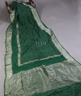 green-bandhani-tussar-georgette-saree-t616649-t616649-b