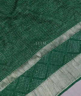 green-bandhani-tussar-georgette-saree-t616649-t616649-d