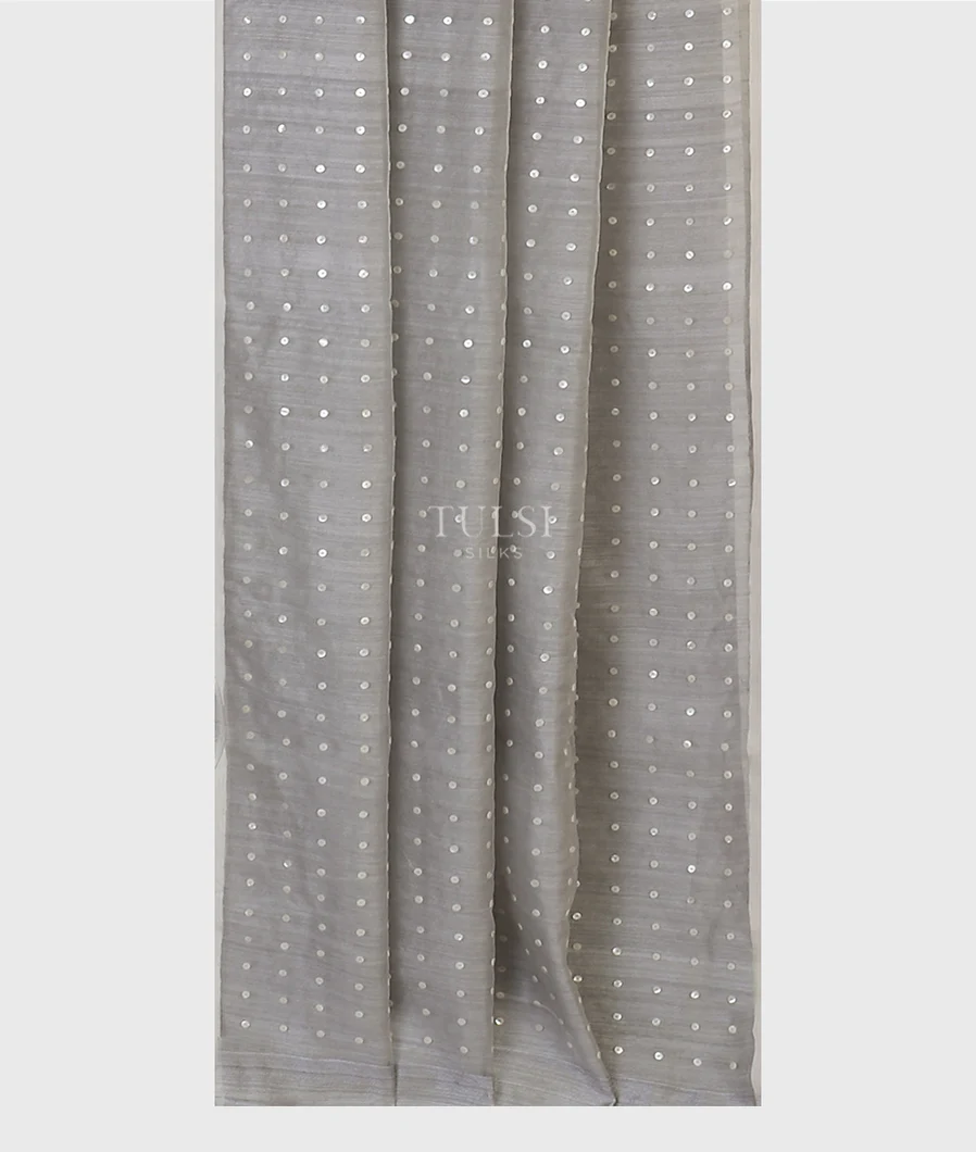 grey-handwoven-tussar-saree-t608886-t608886-b