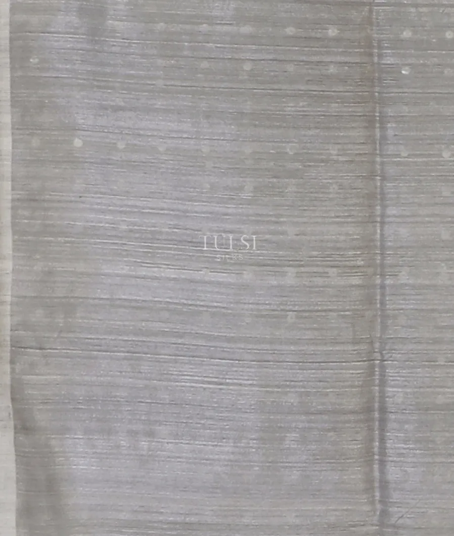 grey-handwoven-tussar-saree-t608886-t608886-c