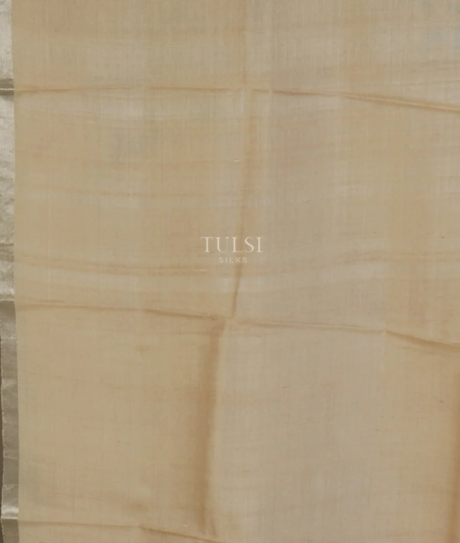 beige-tussar-printed-saree-t608213-t608213-c