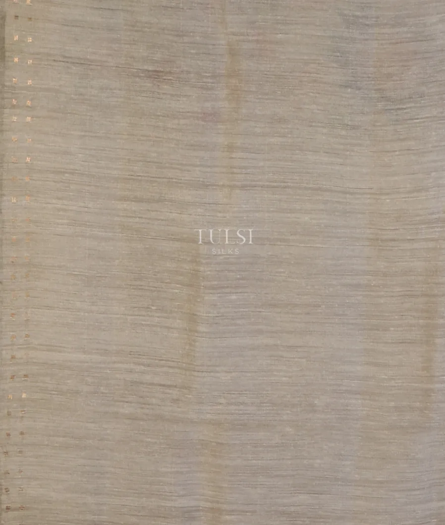 light-grey-tissue-organza-printed-saree-t614983-t614983-c