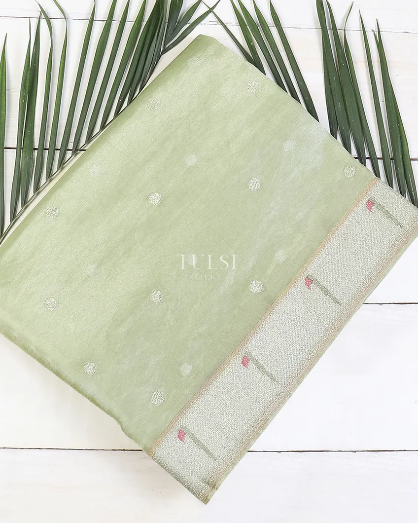 Green Kora Tissue Organza Embroidery Saree T619438-image