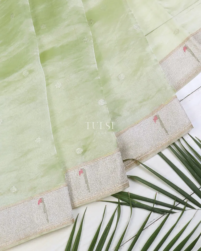 green-kora-tissue-organza-embroidery-saree-t619438-t619438-e