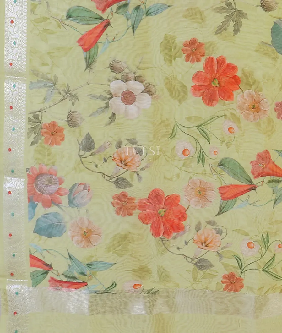 green-tussar-cotton-saree-t619146-t619146-d