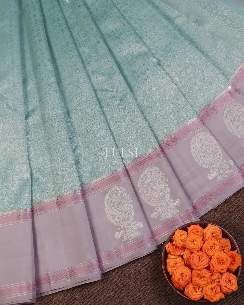light-blue-kanjivaram-silk-saree-t622205-t622205-b