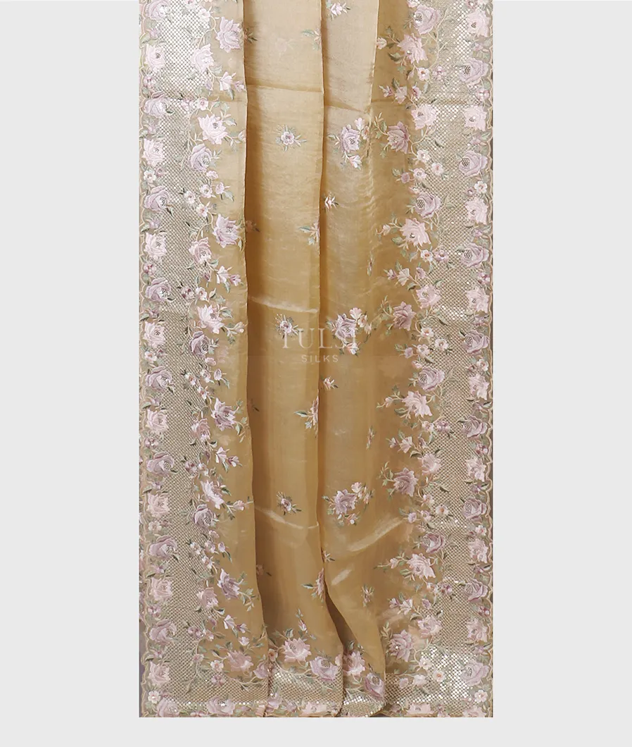 beige-kora-tissue-organza-embroidery-saree-t595194-t595194-b