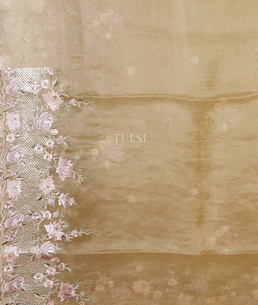 beige-kora-tissue-organza-embroidery-saree-t595194-t595194-c