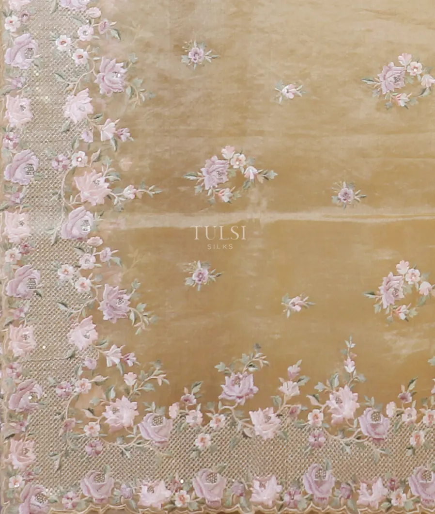 beige-kora-tissue-organza-embroidery-saree-t595194-t595194-d