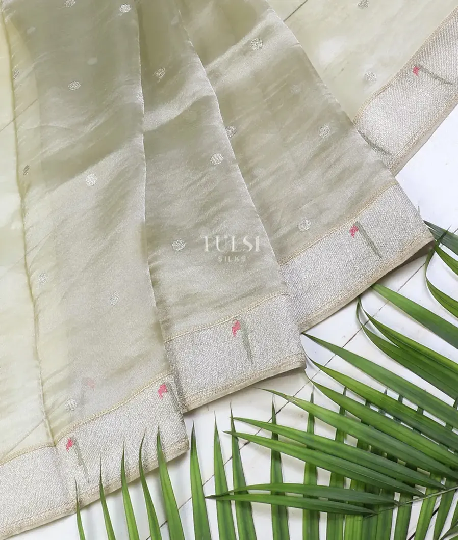 grey-kora-tissue-organza-embroidery-saree-t623408-t623408-e