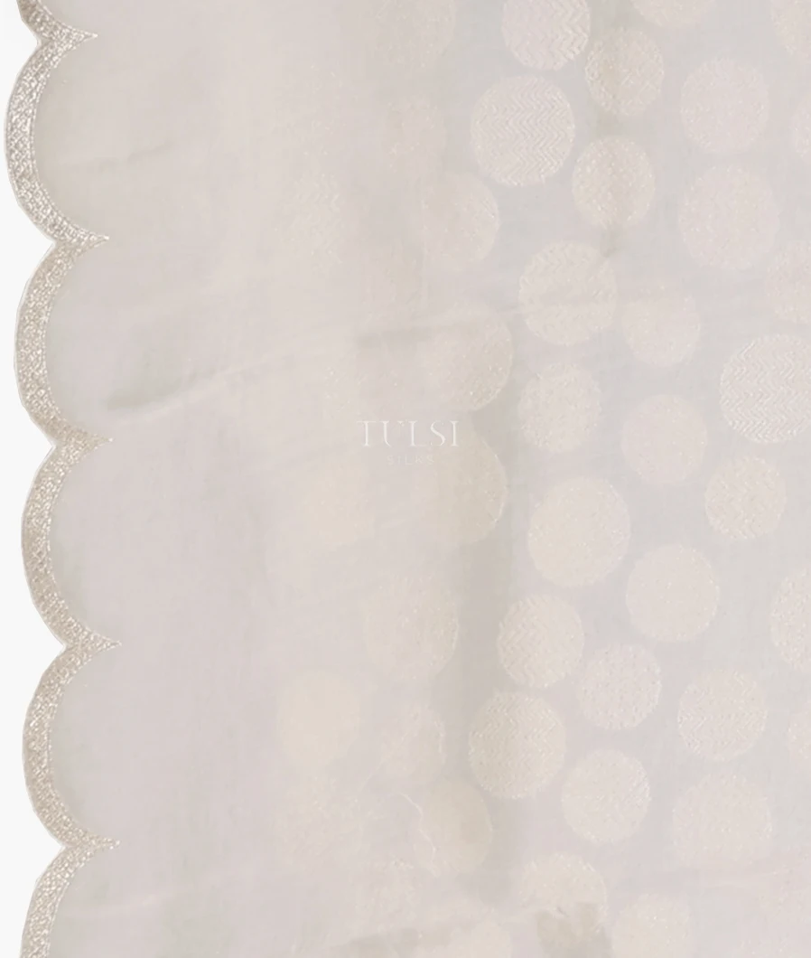 off-white-kora-organza-embroidery-saree-t619344-t619344-c