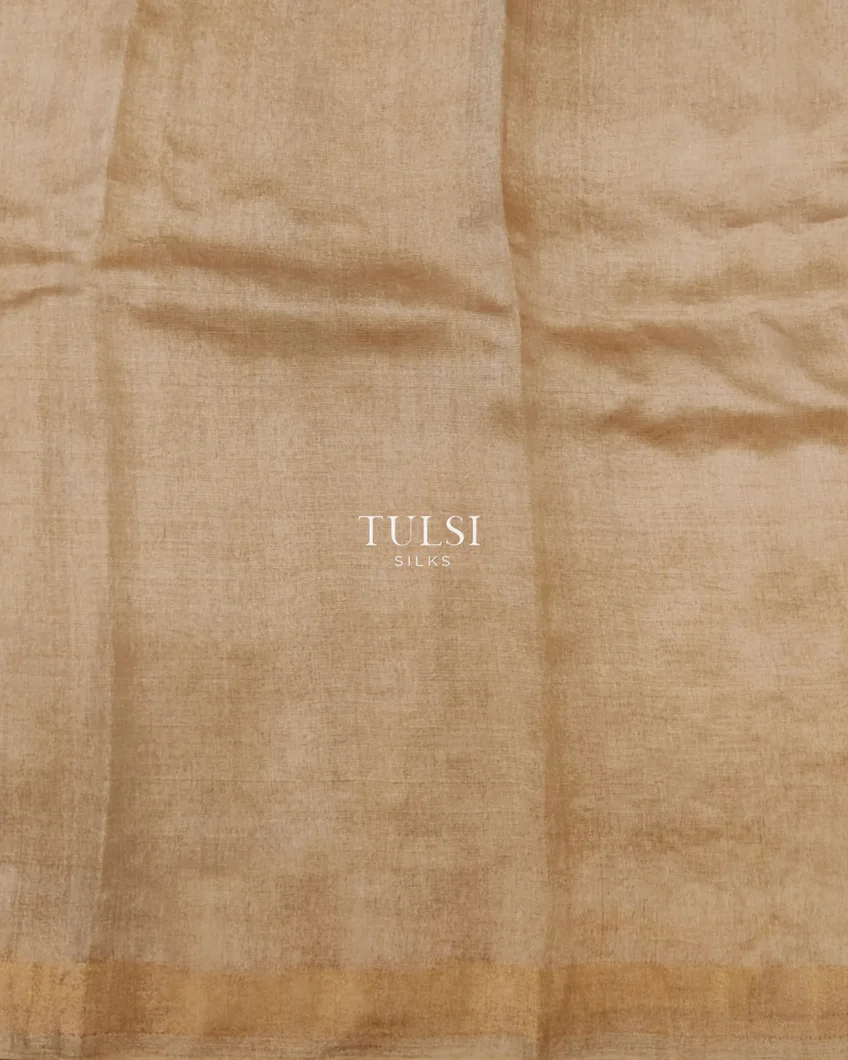 beige-tussar-embroidery-saree-t618110-t618110-c