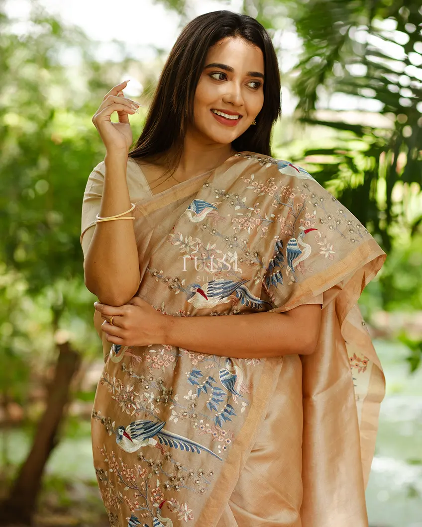 Beige Tussar Embroidery Saree T618110-image