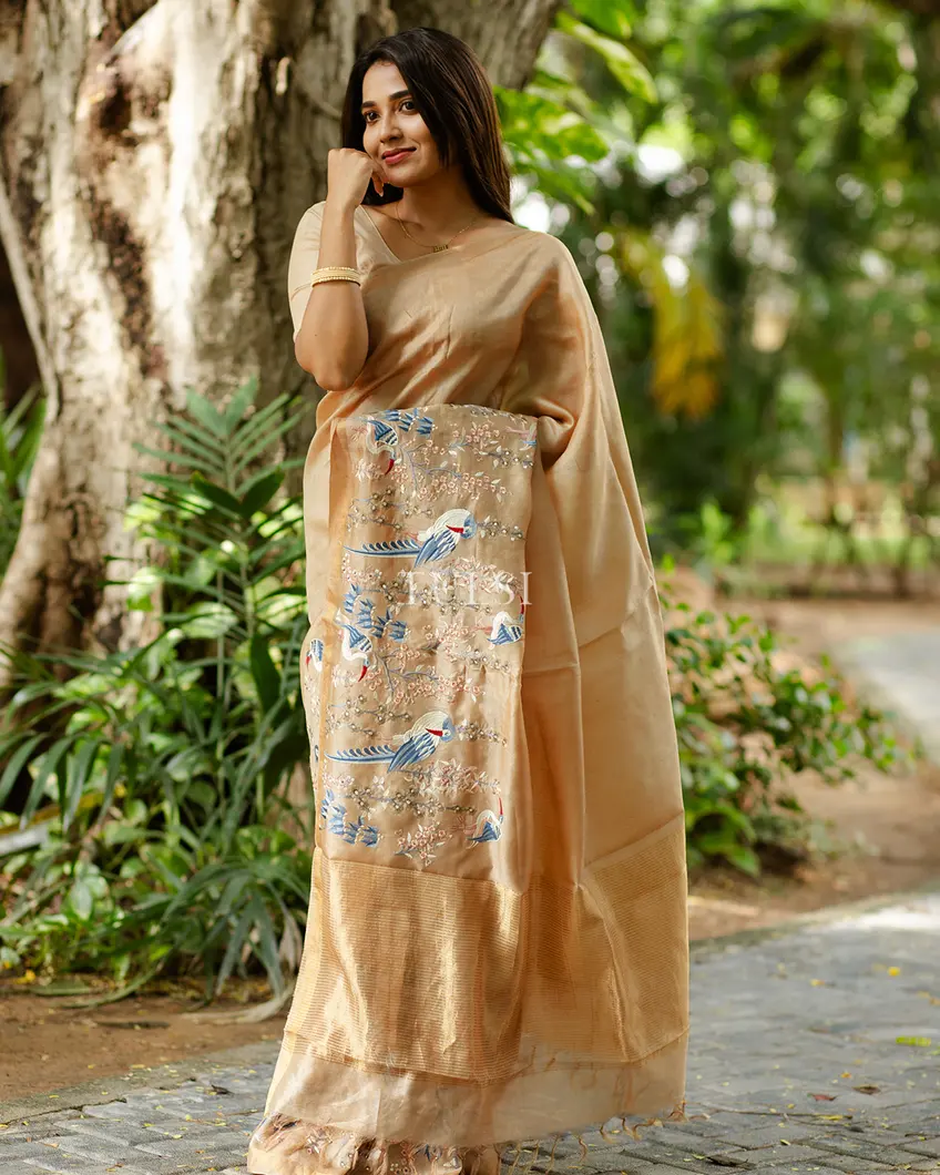 beige-tussar-embroidery-saree-t618110-t618110-e
