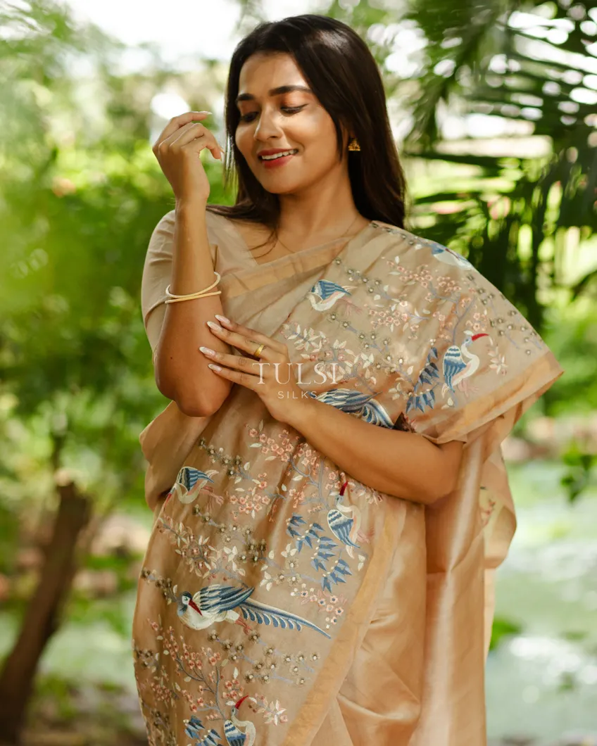 beige-tussar-embroidery-saree-t618110-t618110-g