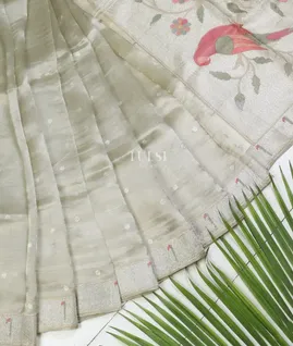 grey-kora-tissue-organza-embroidery-saree-t623400-t623400-b