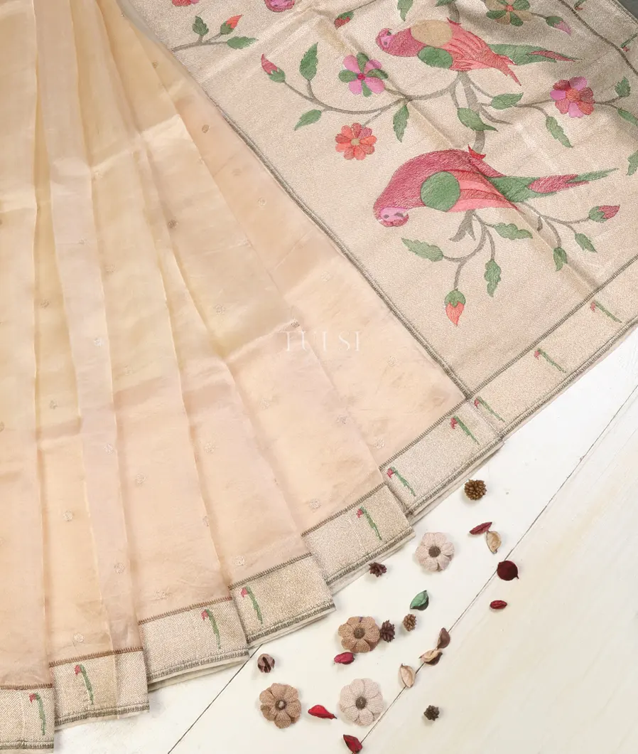 beige-kora-tissue-organza-embroidery-saree-t623410-t623410-b