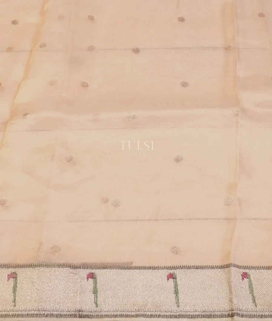 beige-kora-tissue-organza-embroidery-saree-t623410-t623410-c