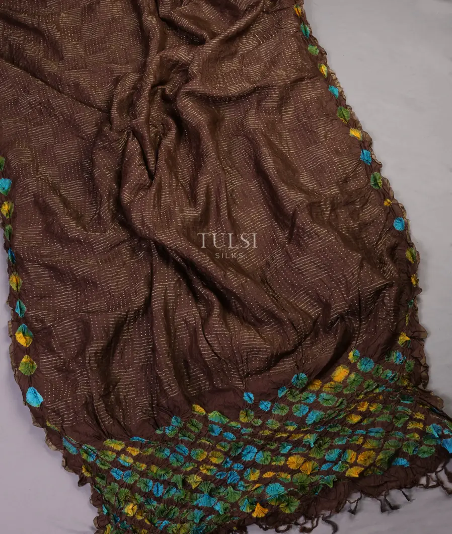 brown-bandhani-tussar-saree-t616585-t616585-b