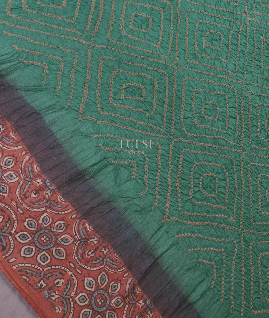 greenish-blue-bandhani-tussar-saree-t570097-t570097-e